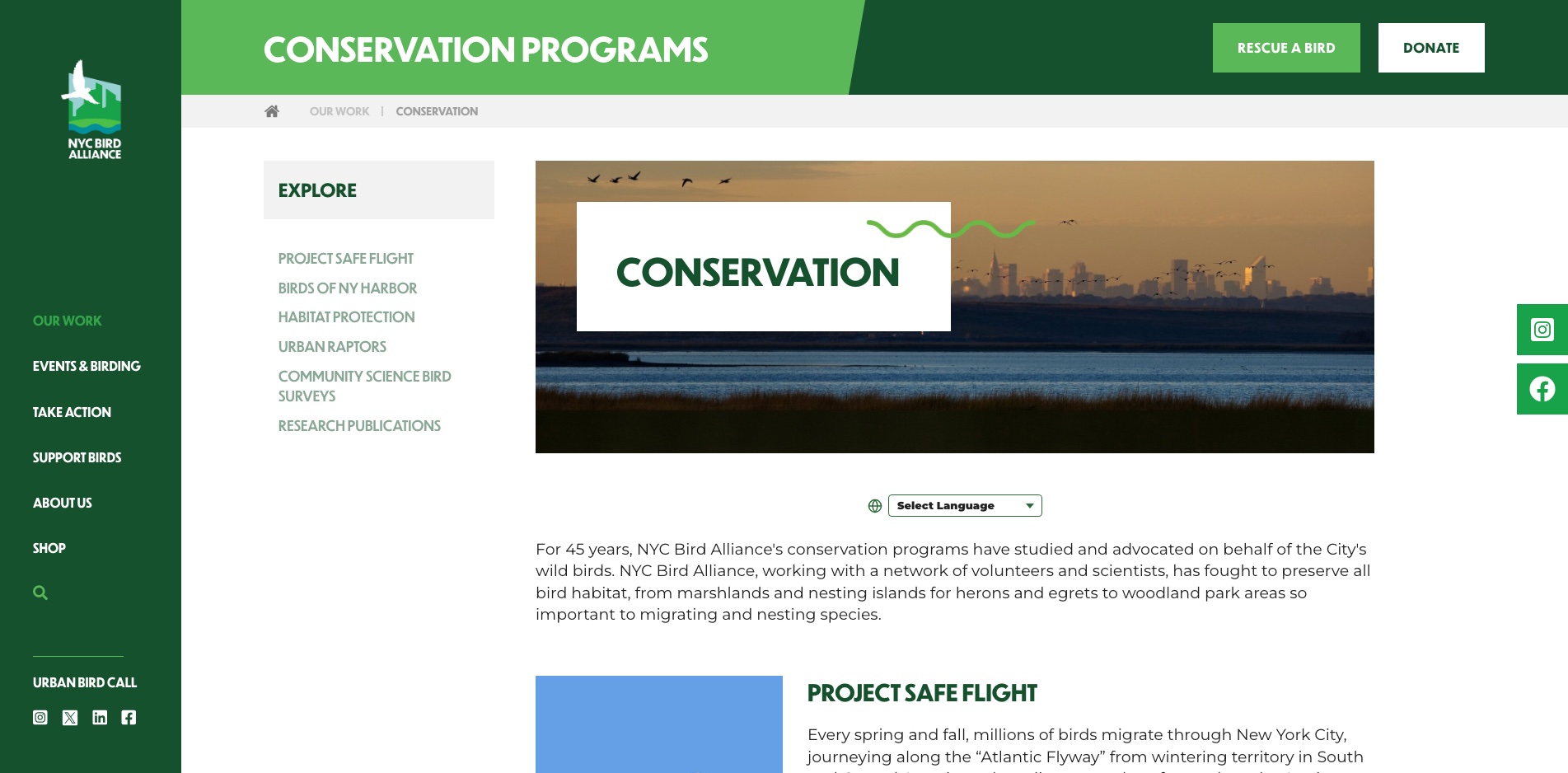 NYC Bird Alliance conservation programs